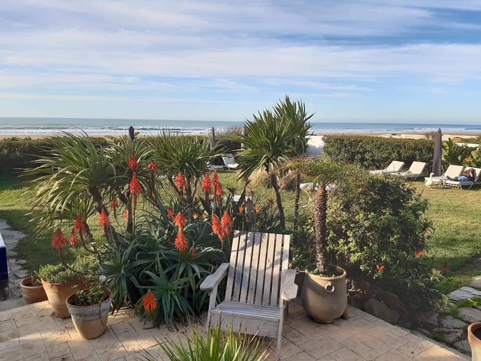 restaurant jardin L'Océan