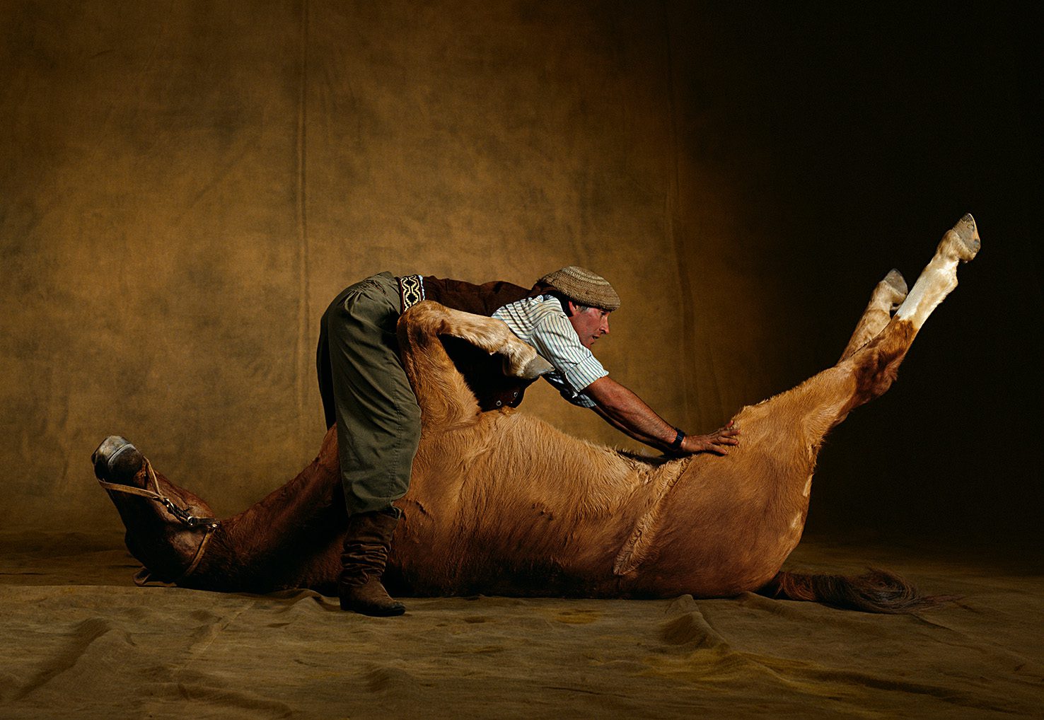 Image de l’exposition LEGACY montrant un Cheval Criollo avec le dresseur argentin Martin Hardoy à Ayacucho Coscorron illustrant le lien entre l’homme et l’animal.